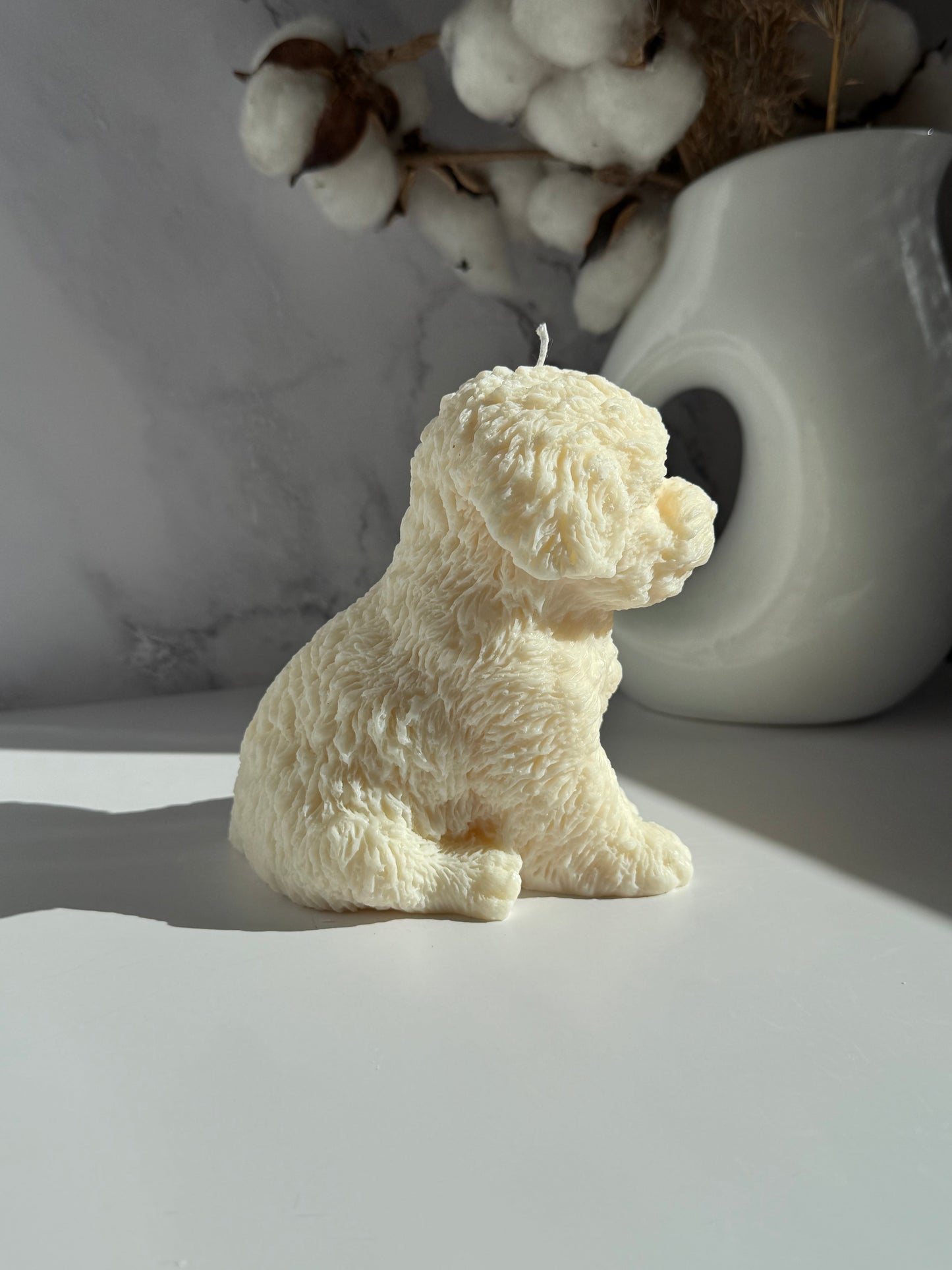 CAVOODLE küünal