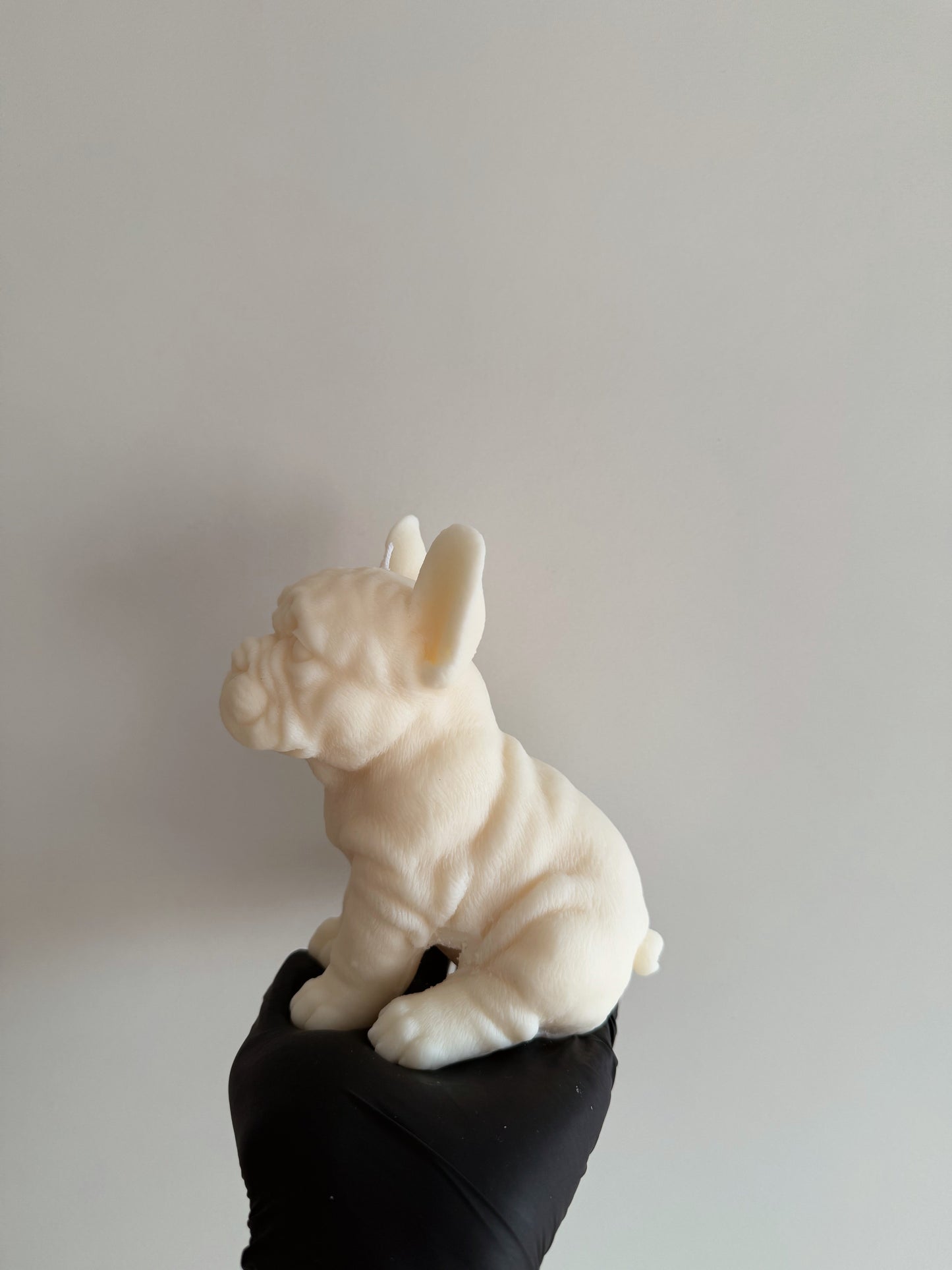 FRENCH BULLDOG candle