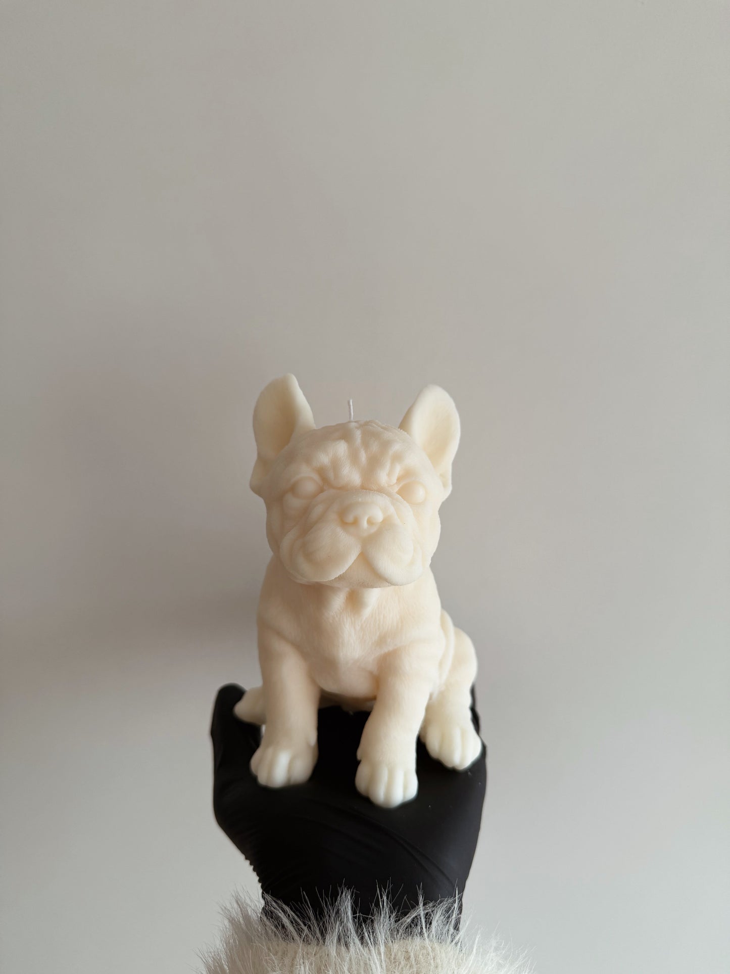 FRENCH BULLDOG candle