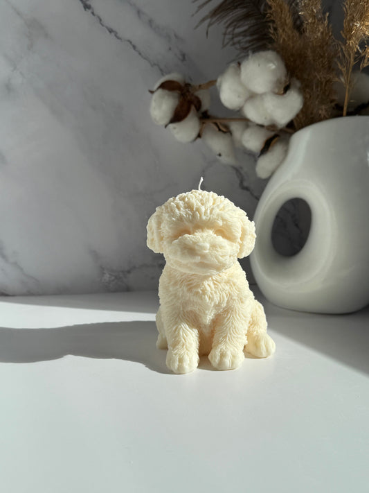 CAVOODLE küünal