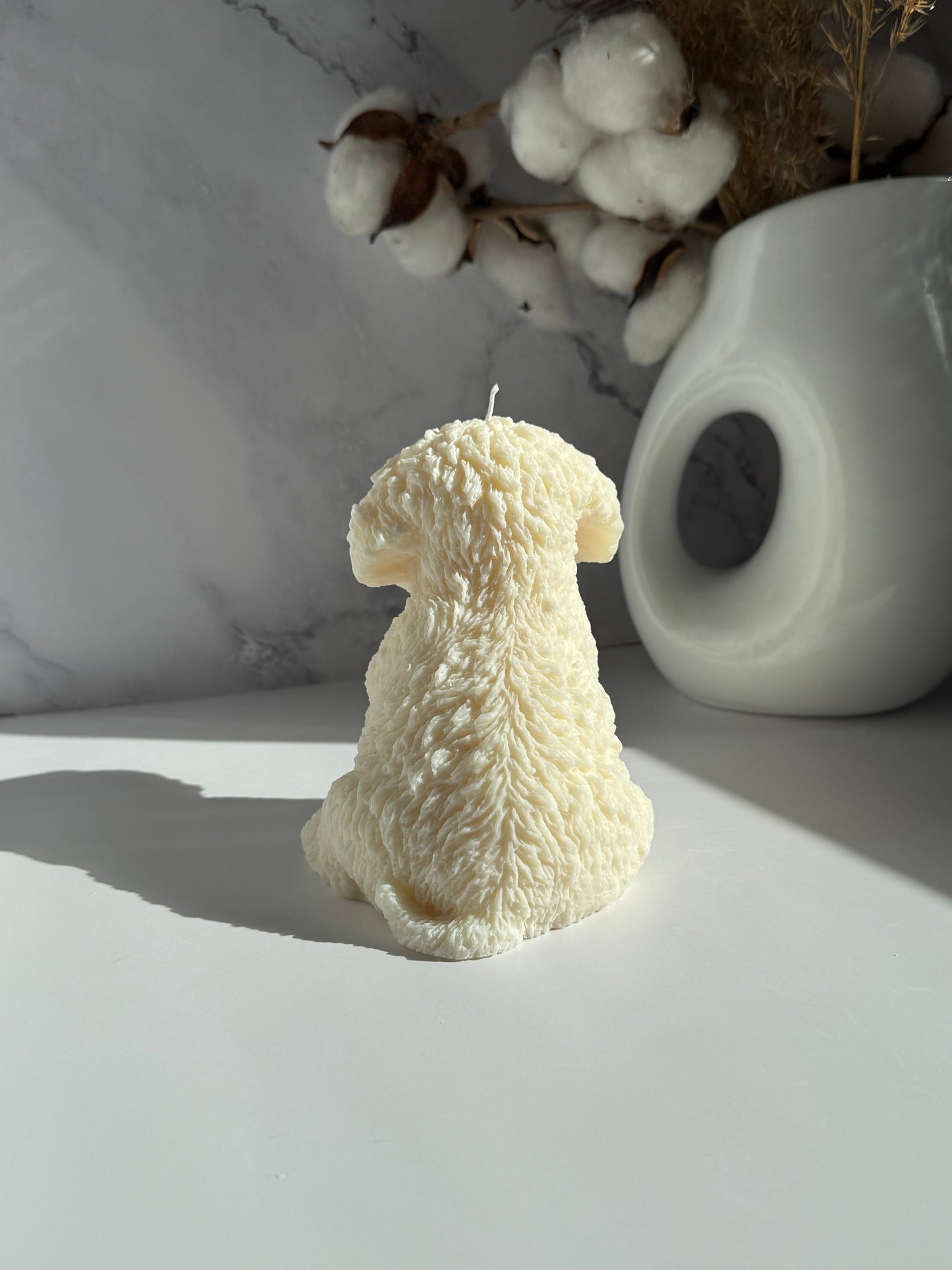 CAVOODLE küünal